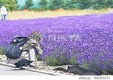 パステル調 ”ラベンダー畑とスマホで撮影する女性” イラストイメージ パステル調 ”ラベンダー畑とスマホで撮影する女性” イラストイメージ 98263237