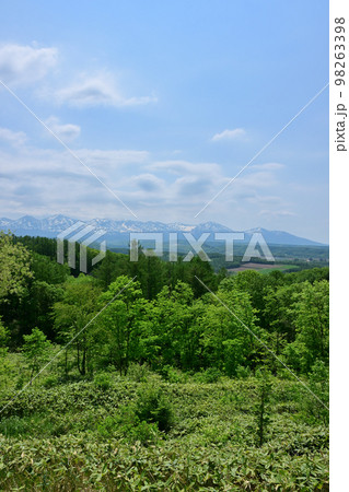 十勝岳連峰 98263398