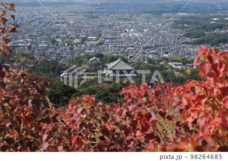 奈良若草山からの東大寺 98264685
