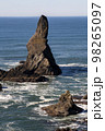 空 観光 海岸 98265097