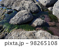 晴れ 自然 石 98265108