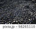 波 清流 景色 98265110
