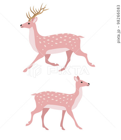 Vector two flat hand drawn pink deer 98266083