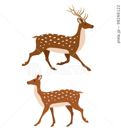 Vector two flat hand drawn deer Vector two flat hand drawn deer 98266122