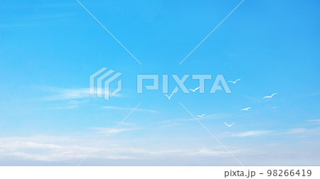 大空を羽ばたく鳥の風景イラストのイラスト素材 [98266419] - PIXTA