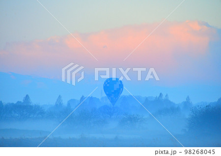 バルーンレース(渡良瀬遊水地) バルーンレース(渡良瀬遊水地) 98268045