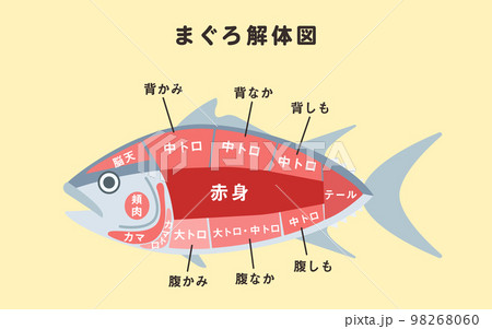 マグロの解体図のイラスト 98268060