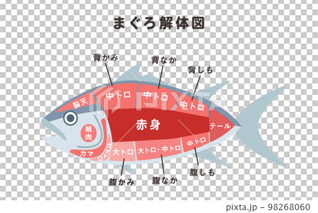 マグロの解体図のイラスト 98268060
