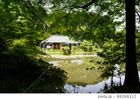 浄瑠璃寺 浄瑠璃寺 98268112