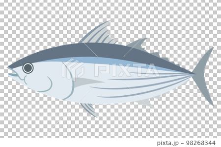 Illustration of bonito 98268344