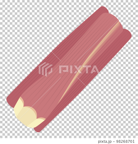 紅色 zuiki 的插圖 98268701