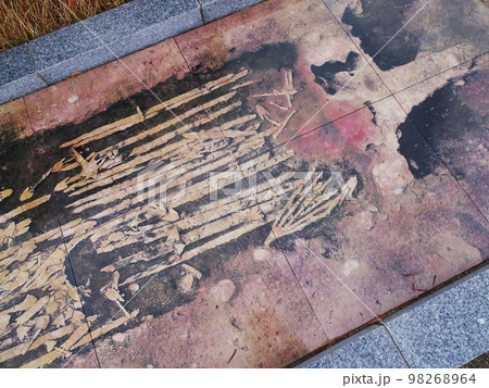 恵解山古墳(いげのやまこふん) の武器埋納施設【京都府長岡京市勝竜寺】　2022年11月 98268964