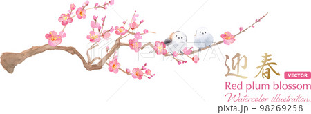 梅の花と並んだ2羽のエナガ。水彩イラスト。紅梅と小鳥の装飾。（ベクター。レイアウト変更可能） 98269258