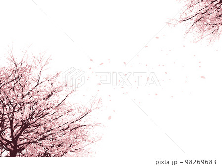 桜フレーム_1_花吹雪が舞うサクラを見上げた遠近感のある背景_春のスタイリッシュな和モダンイメージ 桜フレーム_1_花吹雪が舞うサクラを見上げた遠近感のある背景_春のスタイリッシュな和モダンイメージ 98269683