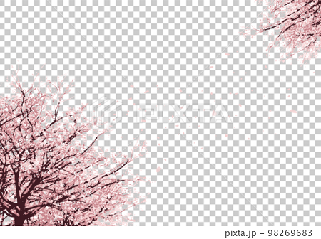 a beautiful desktop wallpaper featuring a serene grove of cherry blossom  trees with delicate petals falling gently in the breeze --ar 16:9