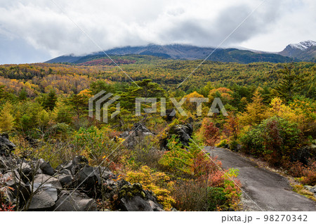 鬼押出し園にて散策路と紅葉（群馬県） 98270342