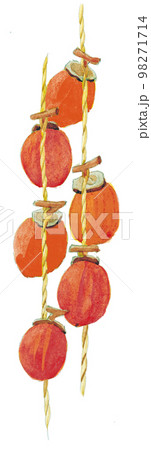 水彩画:干し柿 水彩画:干し柿 98271714