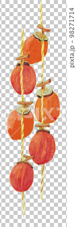 水彩画:干し柿 水彩画:干し柿 98271714
