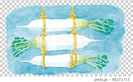 Watercolor painting: radish 98271715