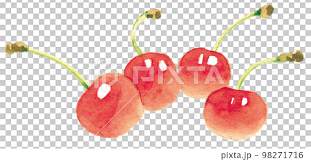 Watercolor: four cherries 98271716