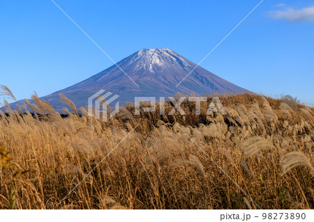富士山 富士山 98273890