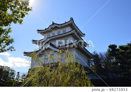 忍城(行田市郷土博物館/埼玉県行田市本丸) 忍城(行田市郷土博物館/埼玉県行田市本丸) 98273953