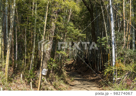 滝山城跡の大手口【国指定史跡・都立滝山公園】東京都八王子市 滝山城跡の大手口【国指定史跡・都立滝山公園】東京都八王子市 98274067