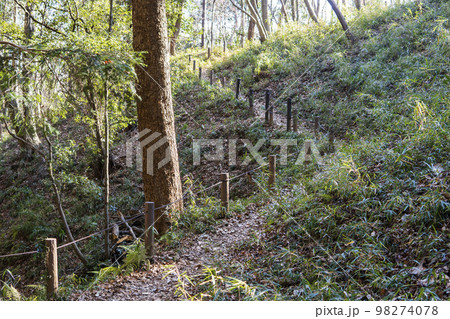 滝山城跡の桝形虎口【国指定史跡・都立滝山公園】東京都八王子市 滝山城跡の桝形虎口【国指定史跡・都立滝山公園】東京都八王子市 98274078