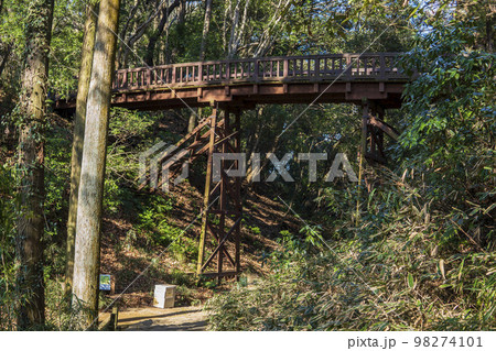 滝山城跡の大堀切と木橋【国指定史跡・都立滝山公園】東京都八王子市 滝山城跡の大堀切と木橋【国指定史跡・都立滝山公園】東京都八王子市 98274101