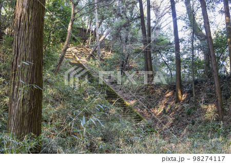 滝山城跡の大堀切【国指定史跡・都立滝山公園】東京都八王子市 滝山城跡の大堀切【国指定史跡・都立滝山公園】東京都八王子市 98274117