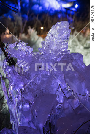 秩父三大氷柱・あしがくぼの氷柱ライトアップ 98274126