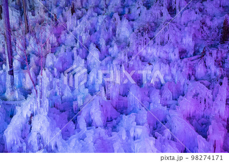 秩父三大氷柱・あしがくぼの氷柱ライトアップ 秩父三大氷柱・あしがくぼの氷柱ライトアップ 98274171