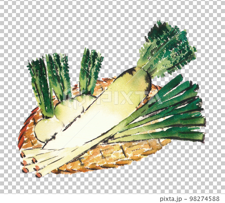 Illustration of a set of root vegetables in a colander [hand-painted watercolor] White background Transparent background 98274588