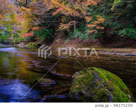 【千葉県】紅葉の養老渓谷‗02 【千葉県】紅葉の養老渓谷‗02 98275250