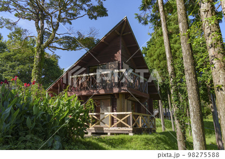 鹿児島県の八重山公園キャンプ村で撮影。 鹿児島県の八重山公園キャンプ村で撮影。 98275588