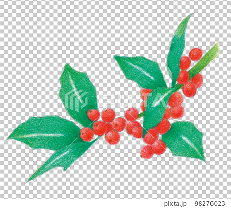 粉彩畫：十二月的果實 98276023