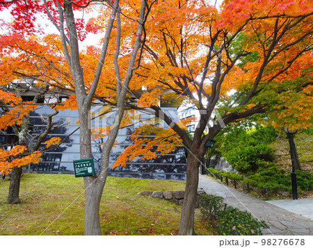 勝竜寺城の紅葉 【京都府長岡京市勝竜寺】 2022年11月 勝竜寺城の紅葉 【京都府長岡京市勝竜寺】 2022年11月 98276678