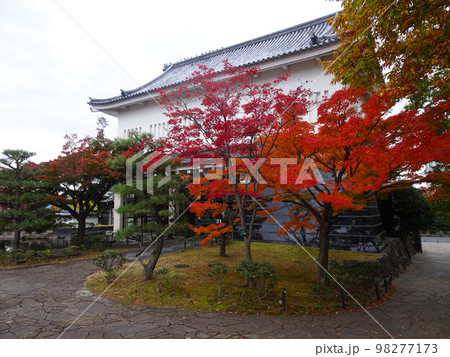 勝竜寺城の紅葉 【京都府長岡京市勝竜寺】 2022年11月 勝竜寺城の紅葉 【京都府長岡京市勝竜寺】 2022年11月 98277173