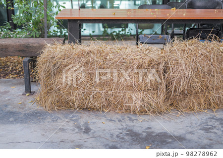 Large haystack of hay were prepared for the animals to eat. Large haystack of hay were prepared for the animals to eat. 98278962