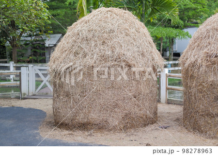 Large haystack of hay were prepared for the animals to eat. Large haystack of hay were prepared for the animals to eat. 98278963