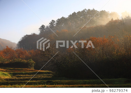 岩手県北上市　晩秋の風景 98279374