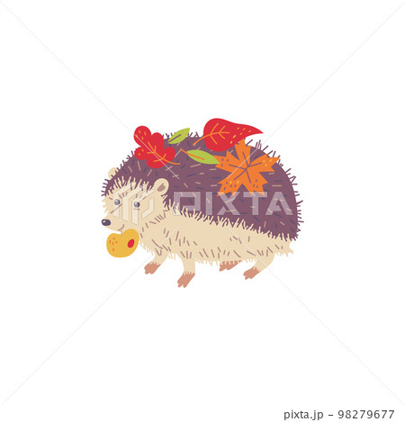 Funny hedgehog with autumn leaves on its back flat vector illustration isolated. 98279677