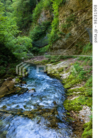 Radovna River In Vintgar Gorge 98281908