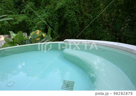 swimming pool in the garden 98282879
