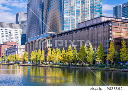 (東京)日比谷濠 イチョウ並木 紅葉 (東京)日比谷濠 イチョウ並木 紅葉 98283994