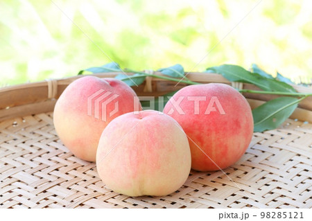 桃 モモ 収穫 ざる 明るい緑の自然背景 桃 モモ 収穫 ざる 明るい緑の自然背景 98285121