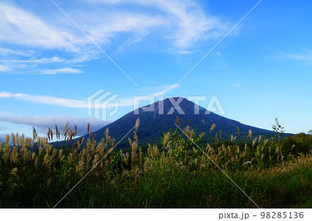 北海道　まっかり温泉から見る羊蹄山 98285136
