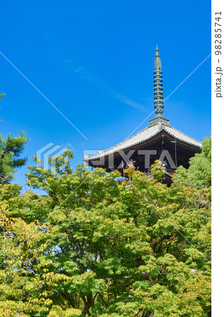 京都 仁和寺の五重塔 京都 仁和寺の五重塔 98285741