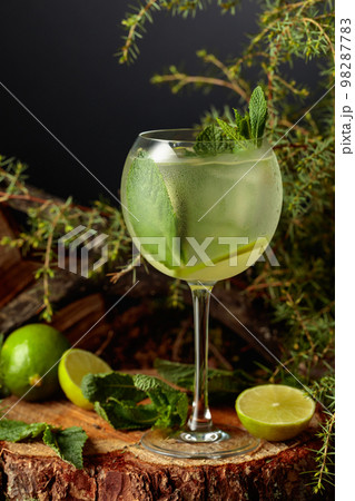 Gin and Tonic cocktail with lime and mint. 98287783