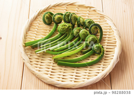 こごみ 集合 ざる こごみ 集合 ざる 98288038